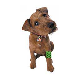 PetFlex Cohesive Bandage 2 in x 5 yd (36 ct) - Item # 37149