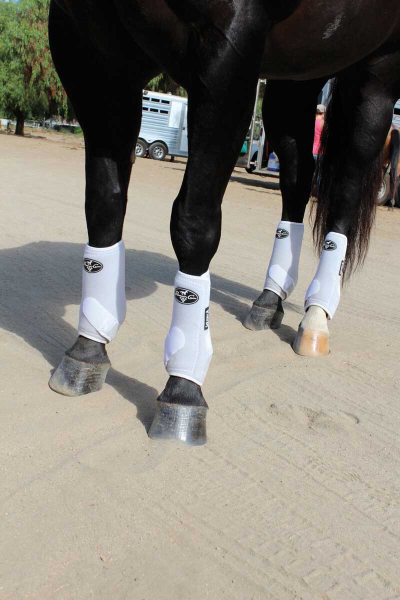 C--WIN Medium Professional Choice Smb 3 Front Rear Horse Sports Boots 4 Pack 