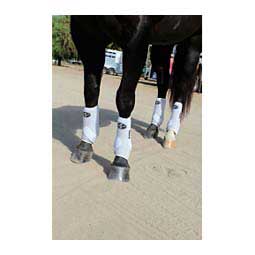SMB 3 Sports Medicine Horse Boots Value Pack White - Item # 37499