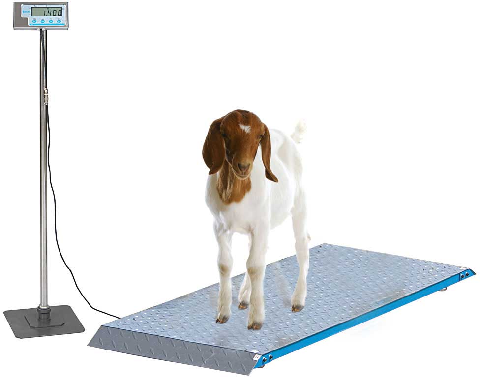 LC-VS400 - 400 LB 38 x 20 Veterinary Animal Digital Scale