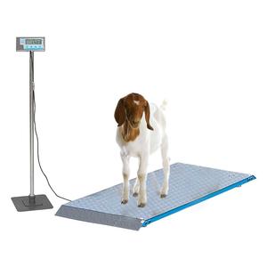 Livestock Platform Scale 56 x 20 in - Item # 38237