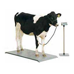 Livestock Platform Scale 59'' x 30'' - Item # 38238