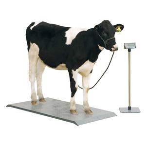 Livestock Platform Scale 59 x 30 in - Item # 38238