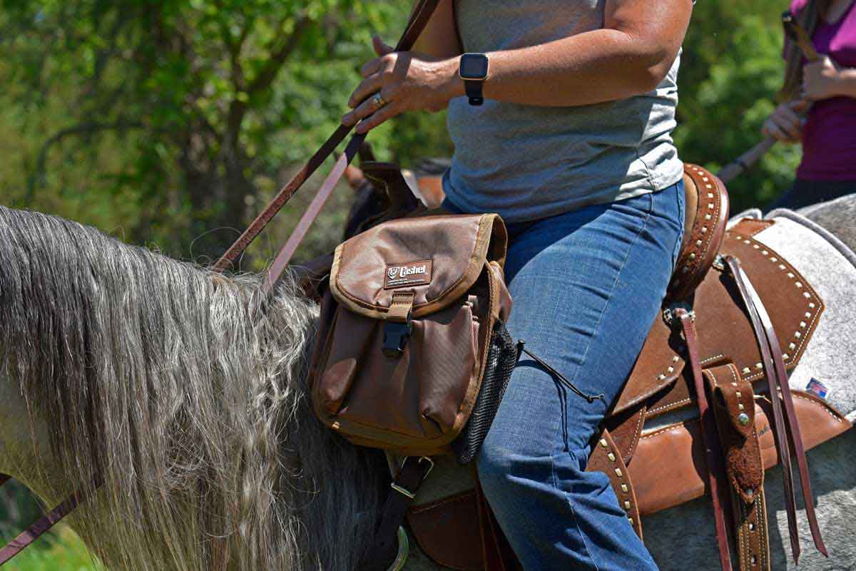 HORSE RIDING EQUESTRIAN WESTERN ACCESSORIES HORSE PRINT INSULATED LUNCH BAG b 