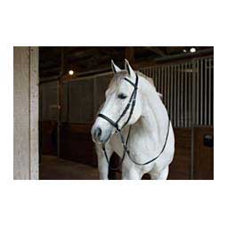 Beta-Bitless Horse Bridle Black - Item # 38695