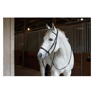 Beta-Bitless Horse Bridle Black - Item # 38695