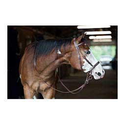Beta-Bitless Horse Bridle Brown - Item # 38695