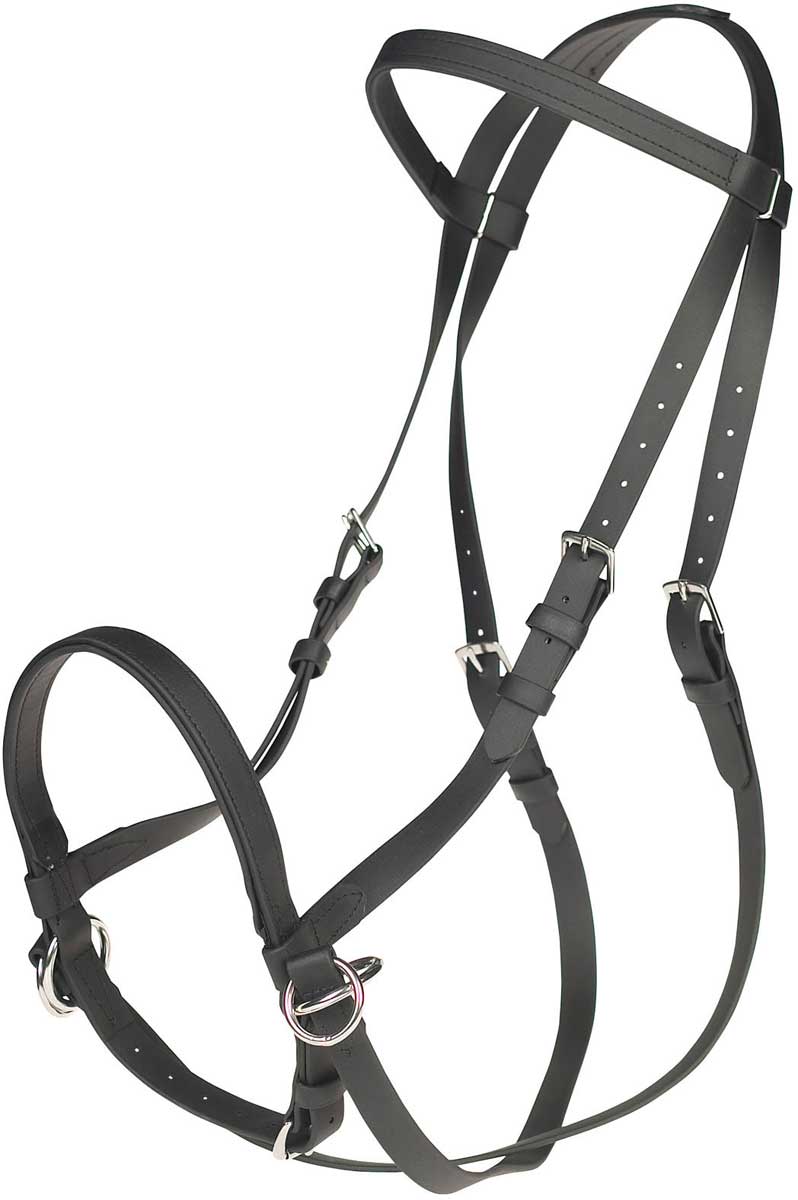 Beta Bitless Horse Bridle Dr Cook Bitless Bridle Headstalls