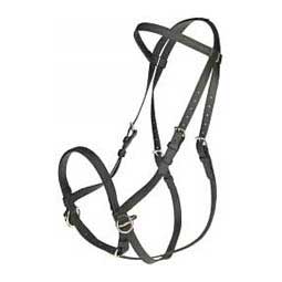 Beta-Bitless Horse Bridle Black Draft - Item # 38696