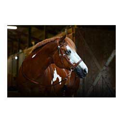 Leather Bitless Horse Bridle Brown - Item # 38697