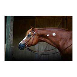 Leather Bitless Horse Bridle Brown - Item # 38697