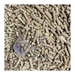 Flex-N-Action for Horses 2.5 lb (40 days) - Item # 38714