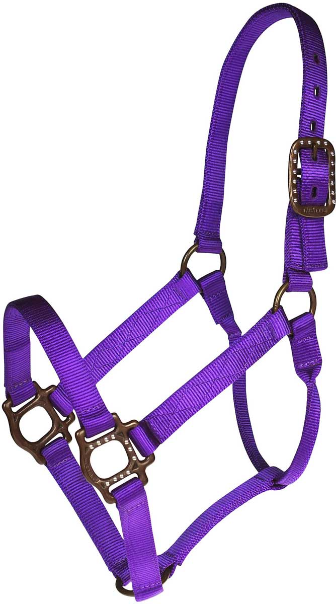 Personalized Antique Dot Horse Halter Mustang Manufacturing