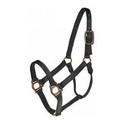 Antique Dot Nylon Horse Halter Black - Item # 39081