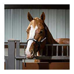 Personalized Antique Dot Horse Halter Black - Item # 39081