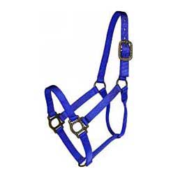 Antique Dot Nylon Horse Halter Blue - Item # 39081