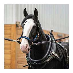 Adjustable Nylon Draft Horse Halter Black - Item # 39415