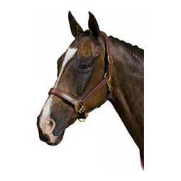 Deluxe Padded Break Away Leather Horse Halter Brown - Item # 39488