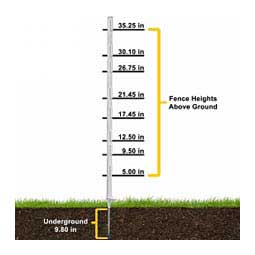 Step-In Poly Fence Post 50 ct - Item # 39493
