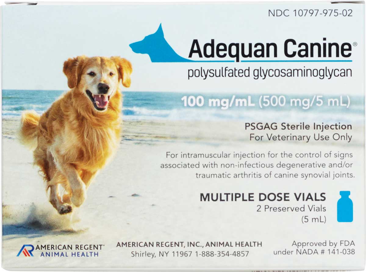 Adequan Canine American Regent Safe Pharmacy Arthritis Pain Inflammation Dog Rx Pet