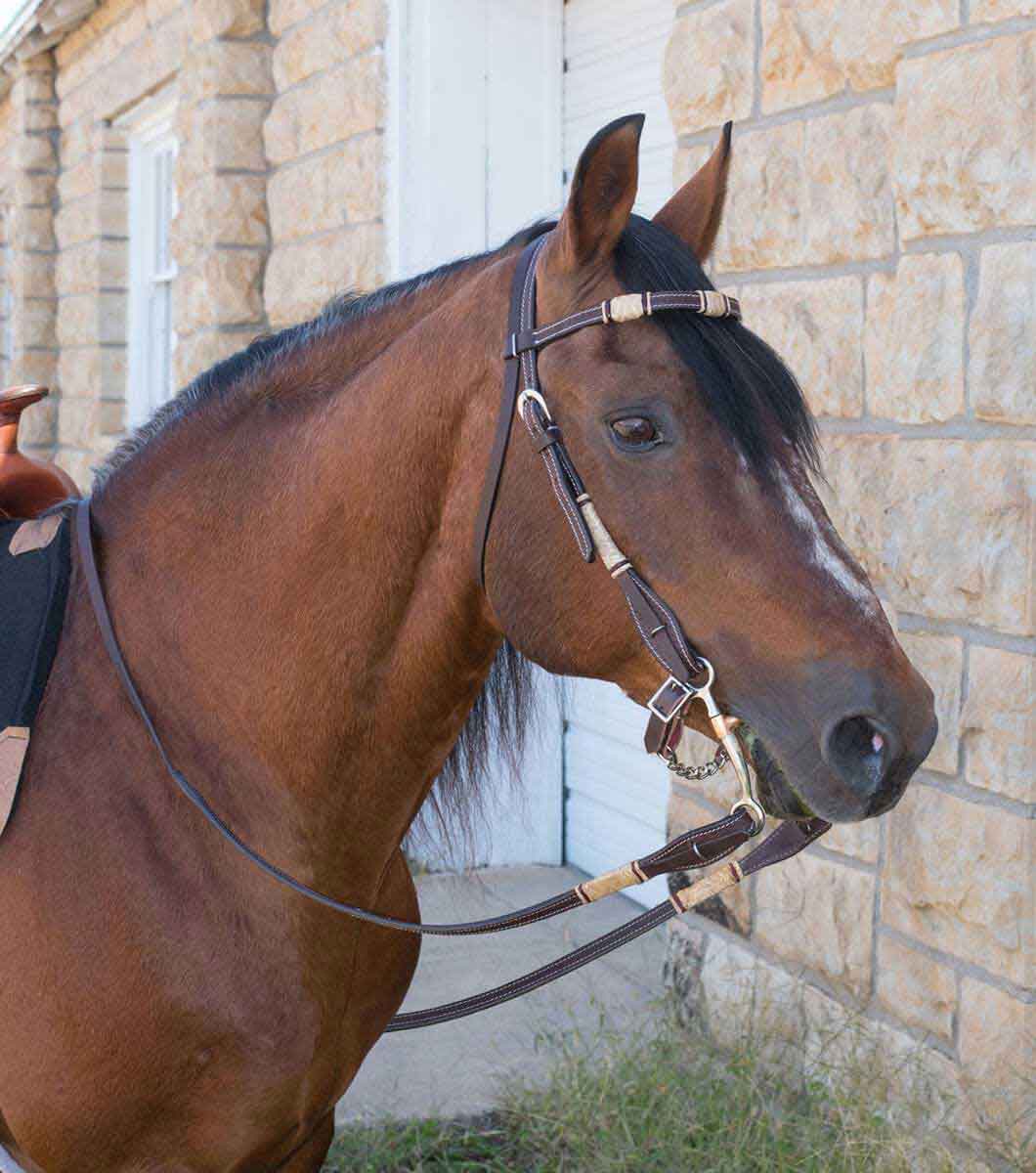 Western Bridle with Reins - Headstalls with Knotted Browbands Western Bridle with Reins - Headstalls with Knotted Browbands