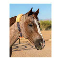 The Dare Cribbing Control Collar for Horses Brown - Item # 40092