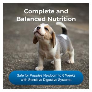 Goat's Milk Esbilac Puppy Milk Replacer Powder for Puppies 12 oz - Item # 40105