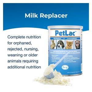 PetLac Milk Replacement Powder Supplement for Pets 300 gm - Item # 40110