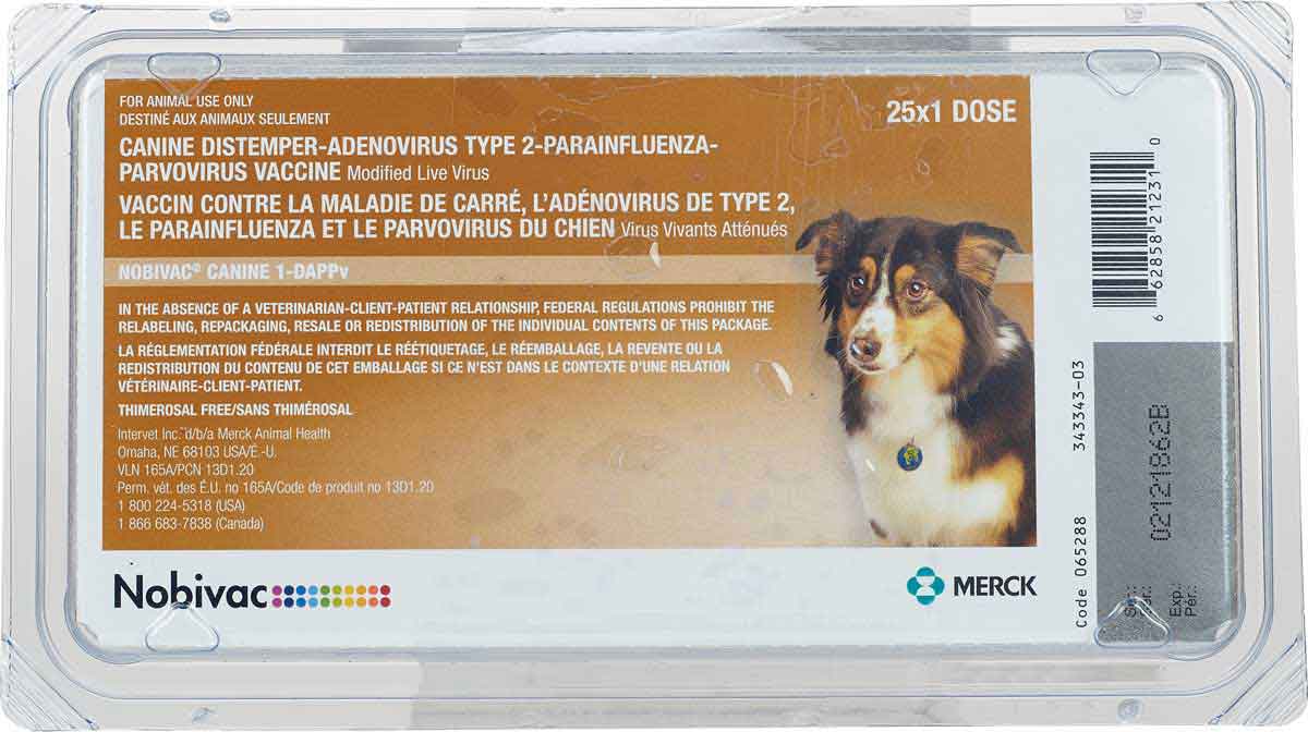 Nobivac Canine 1-DAPPv (Galaxy DA2PPv) Dog Vaccine Merck ...