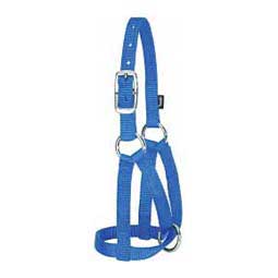 Nylon Llama Halter Blue M/L - Item # 40243