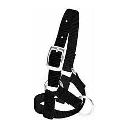 Nylon Alpaca Halter Black Baby - Item # 40244