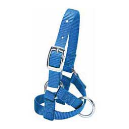 Nylon Alpaca Halter Blue Baby - Item # 40244