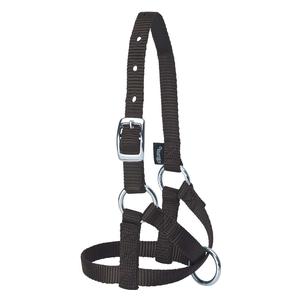 Nylon Alpaca Halter Black Average - Item # 40245