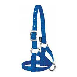 Nylon Alpaca Halter Blue Average - Item # 40245