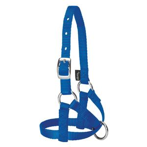 Nylon Alpaca Halter Blue Average - Item # 40245