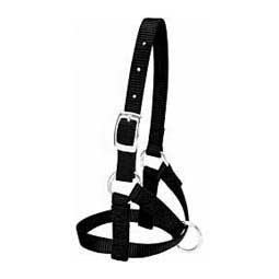Nylon Alpaca Halter Black L - Item # 40246