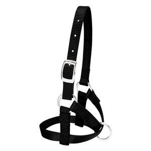 Nylon Alpaca Halter Black L - Item # 40246