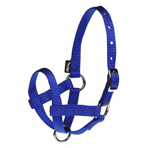 Nylon Alpaca Halter Blue L - Item # 40246