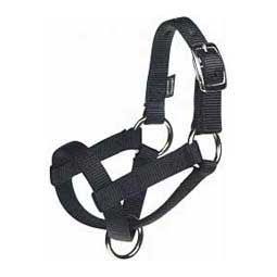 Nylon Goat Halter Black Kid - Item # 40247