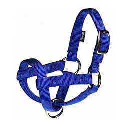 Nylon Goat Halter Blue Kid - Item # 40247