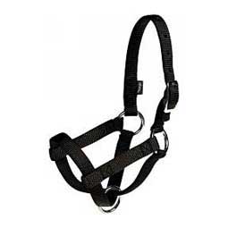 Nylon Goat Halter Black Buck - Item # 40249