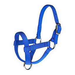 Nylon Goat Halter Blue Buck - Item # 40249