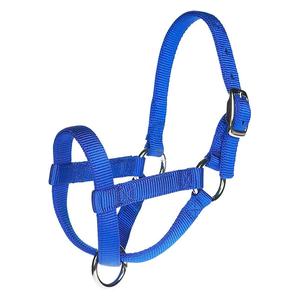 Nylon Goat Halter Blue Buck - Item # 40249