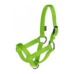 Nylon Goat Halter Lime Zest Buck - Item # 40249