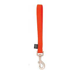 Nylon Goat Leads Orange - Item # 40251