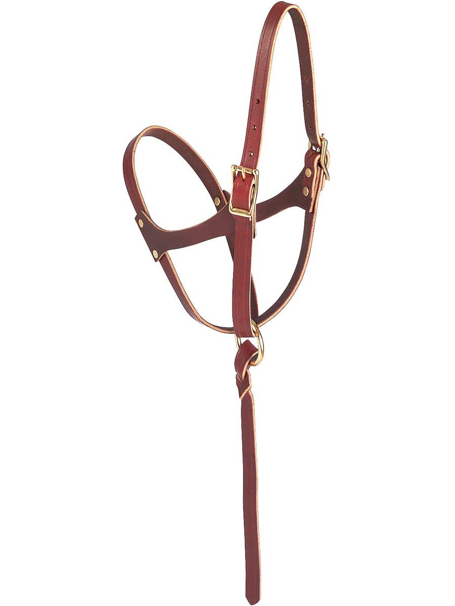 Weaver Leather Figure 8 Foal Halter