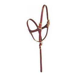 Figure 8 Foal Horse Halter Burgundy Latigo Leather  - Item # 40528