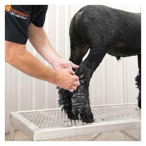 Livestock Conditioning Cream 32 oz - Item # 40565
