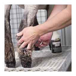 Livestock Conditioning Cream 32 oz - Item # 40565