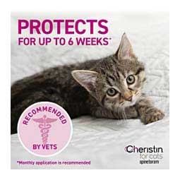 Cheristin for Cats 6 ct - Item # 40620